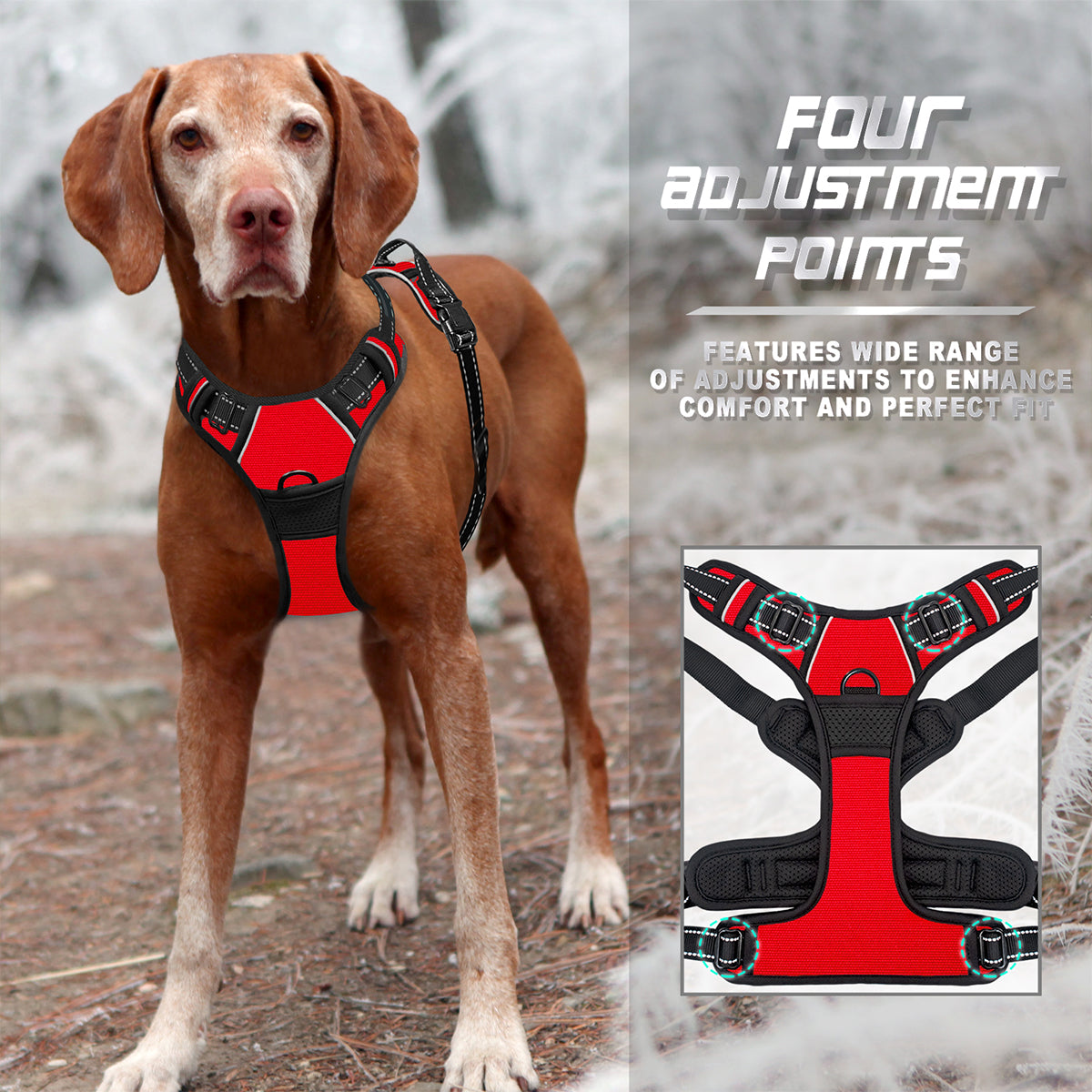 Do you know the no pull dog harness?