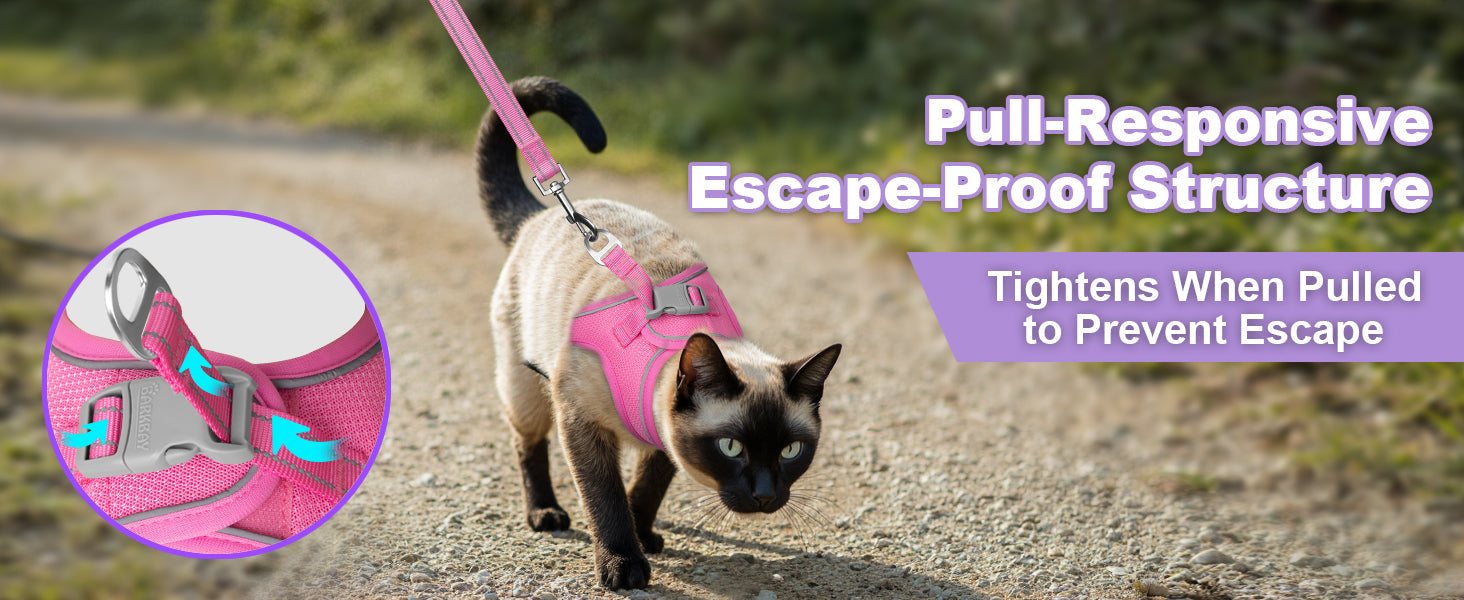 BARKBAY’s Step-In Cat Harness: Comfort, Safety & Freedom for Curious Kittens