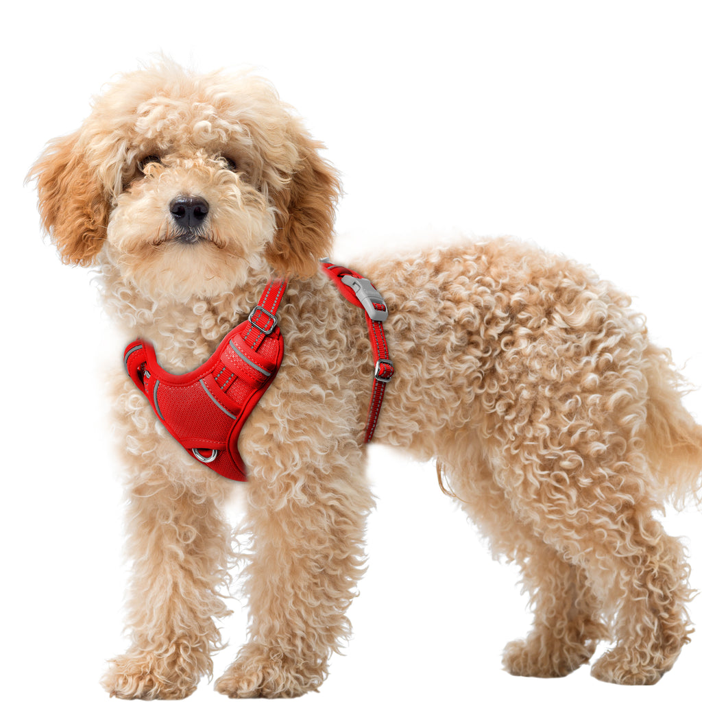 Air No Pull Dog Harness