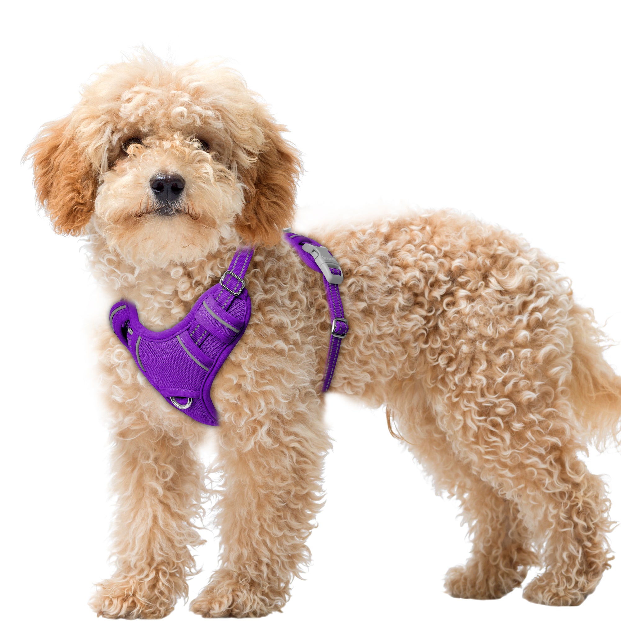 Air No Pull Dog Harness