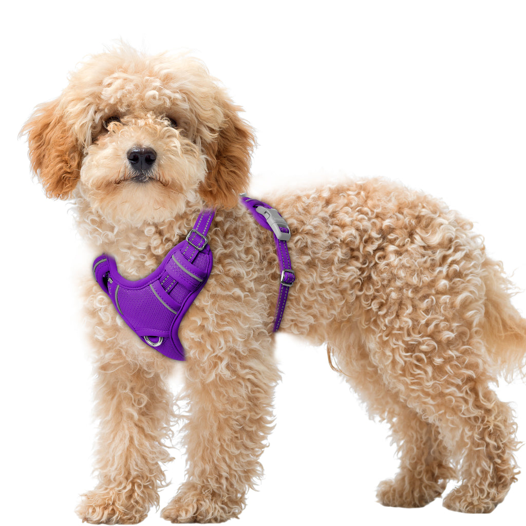 Air No Pull Dog Harness
