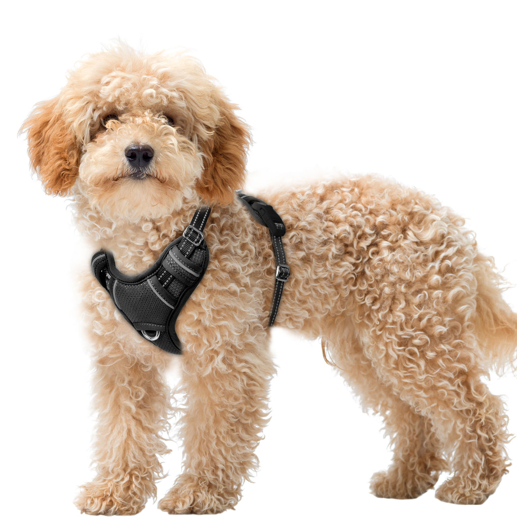 Air No Pull Dog Harness