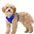 Air No Pull Dog Harness