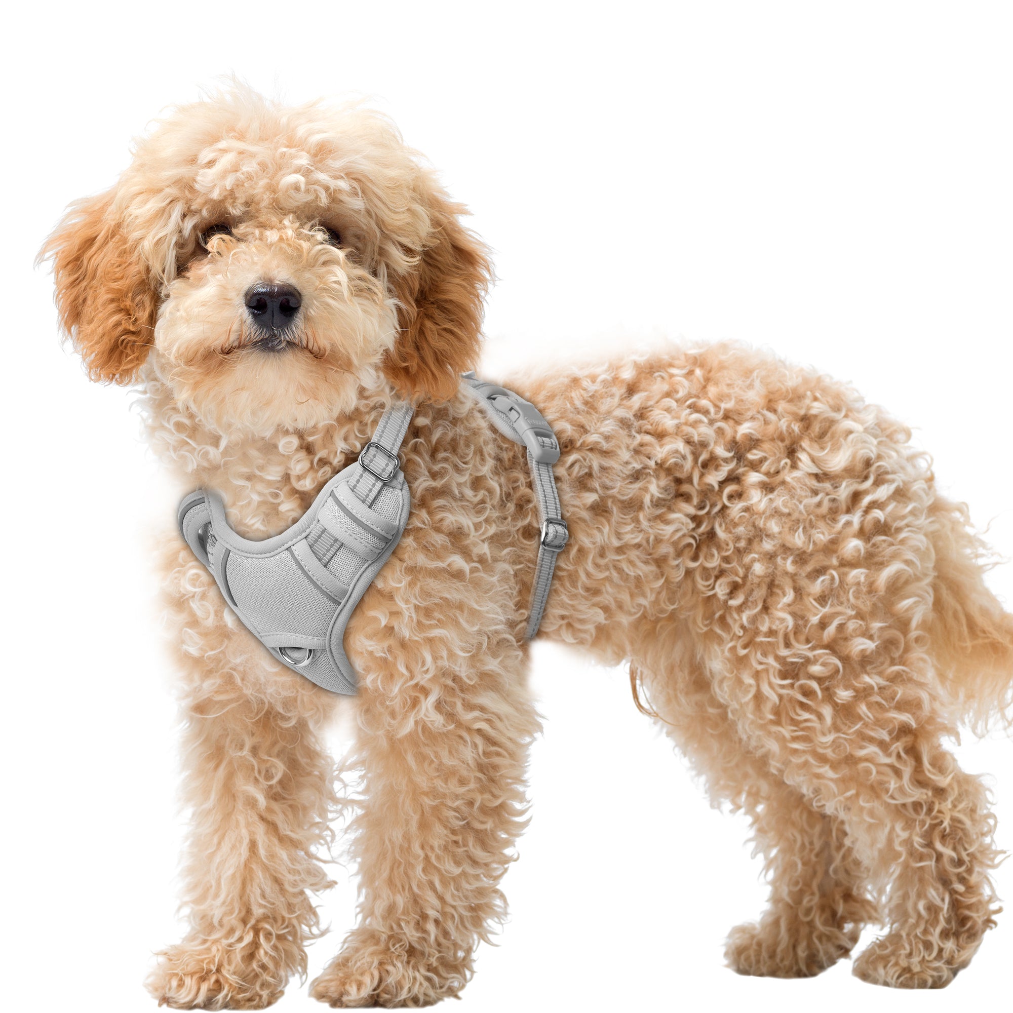 Air No Pull Dog Harness