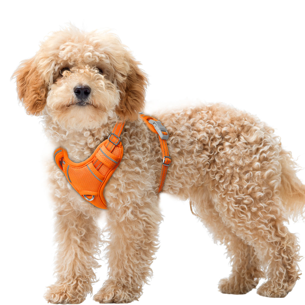 Air No Pull Dog Harness