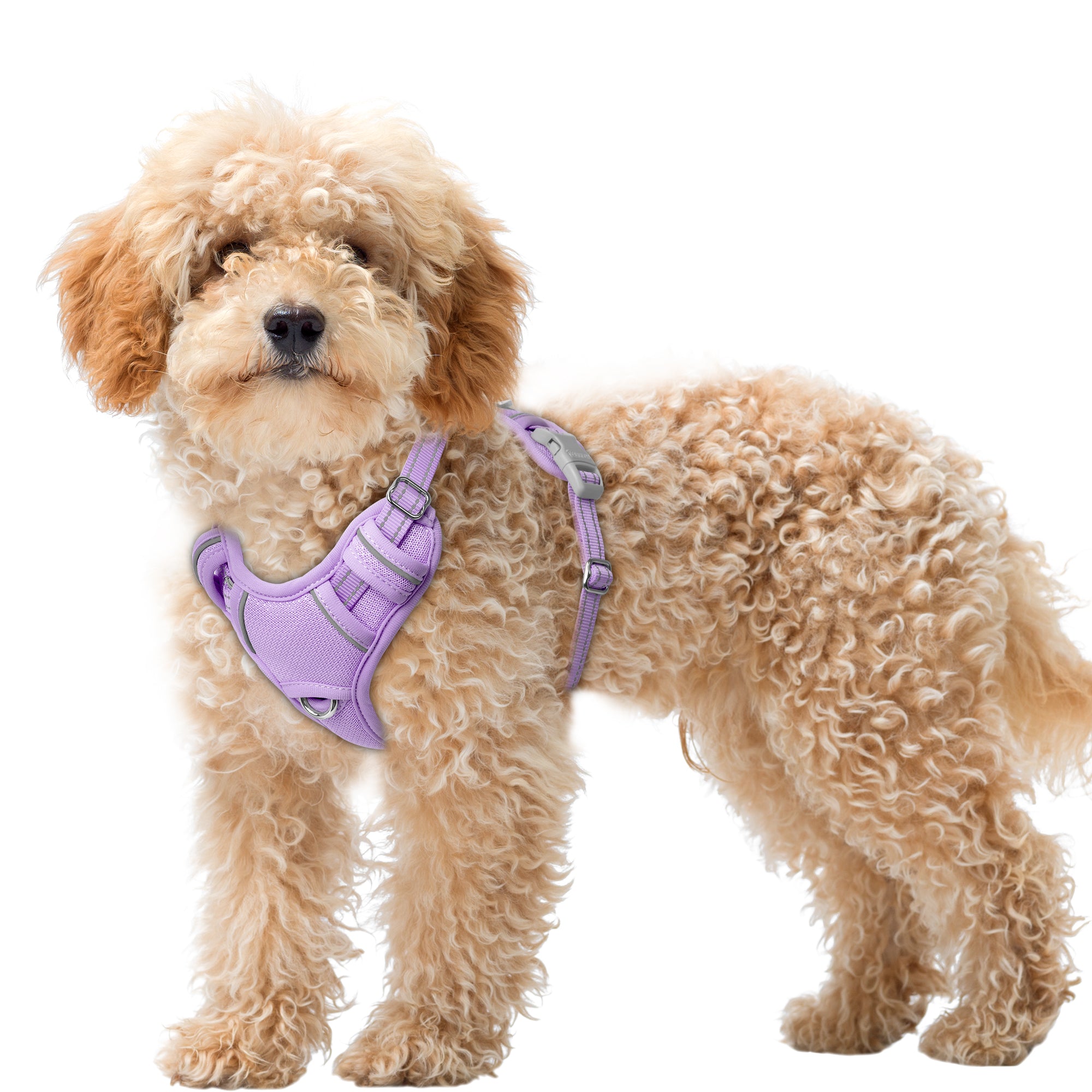 Air No Pull Dog Harness
