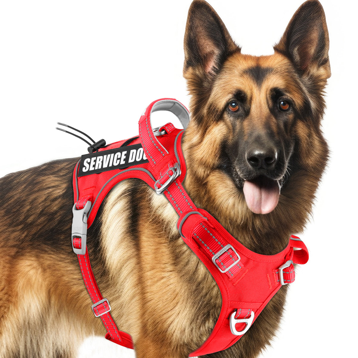 No Pull Tactical Dog Harness