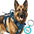 BARKBAY Service Dog Vest Tactical Dog Harness