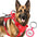 BARKBAY Service Dog Vest Tactical Dog Harness