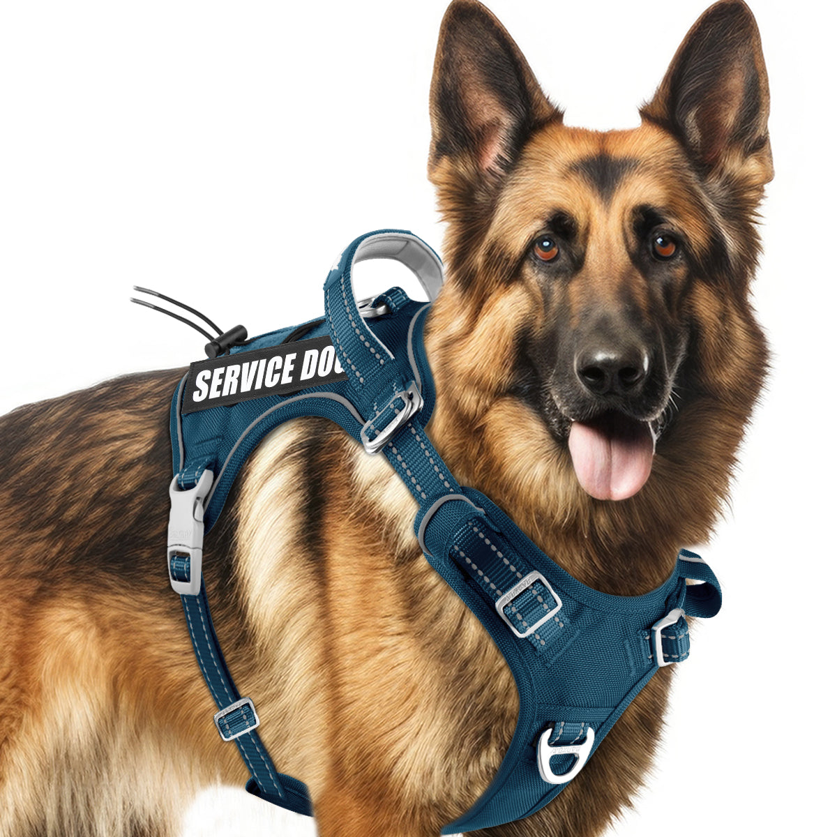 No Pull Tactical Dog Harness