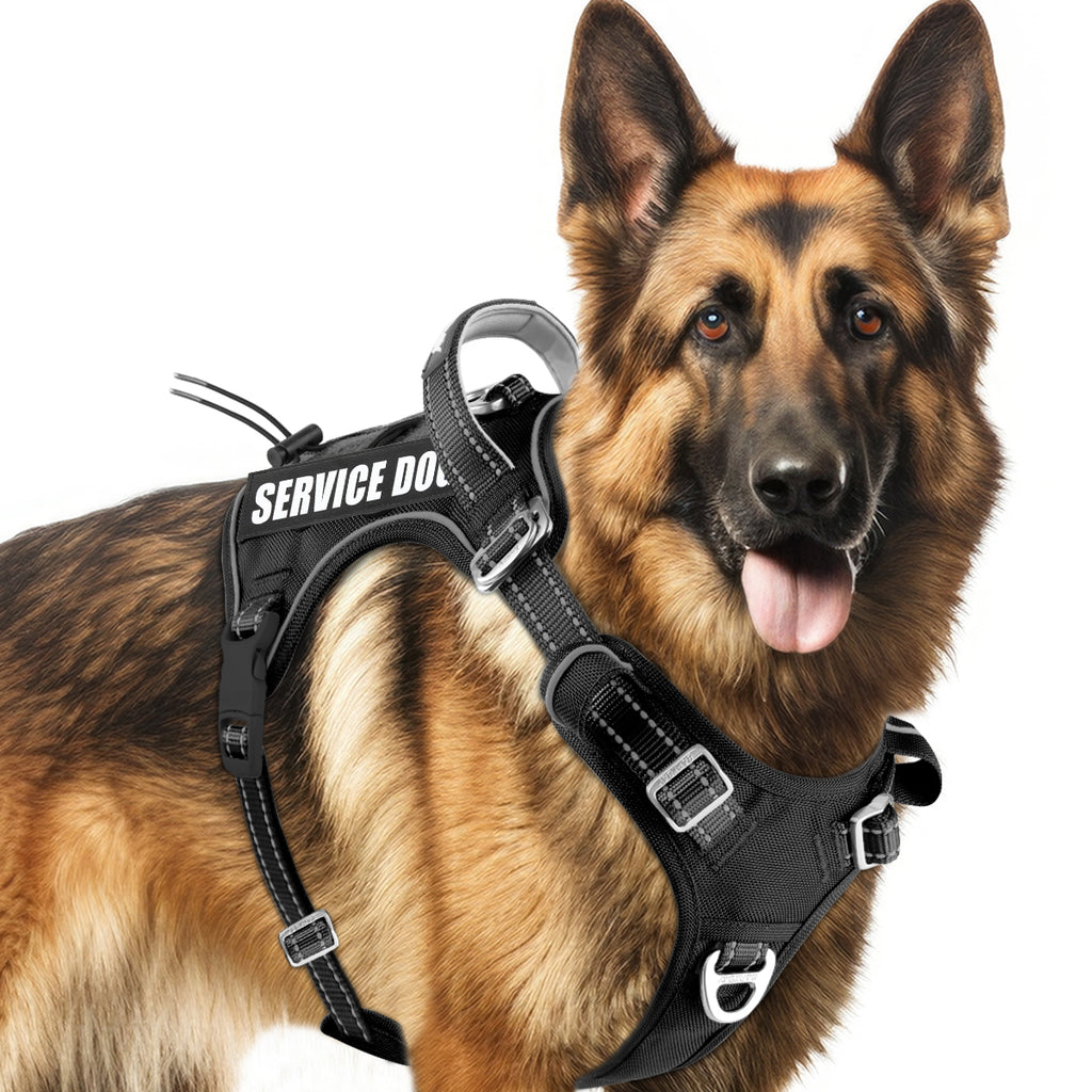 No Pull Tactical Dog Harness