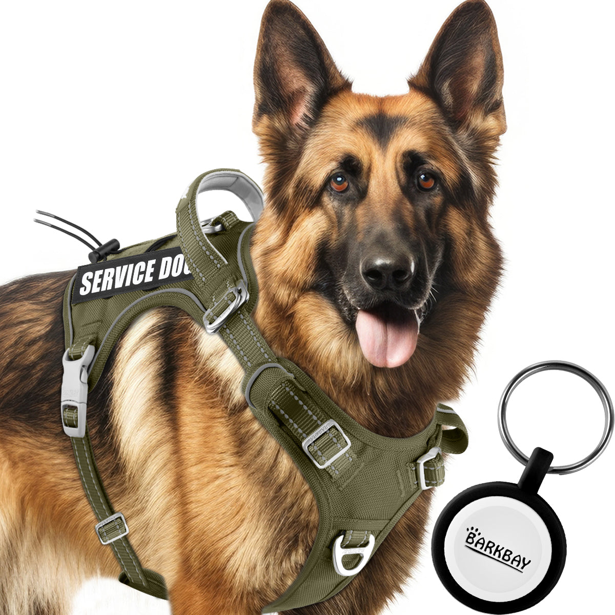 Barkbay harness best sale