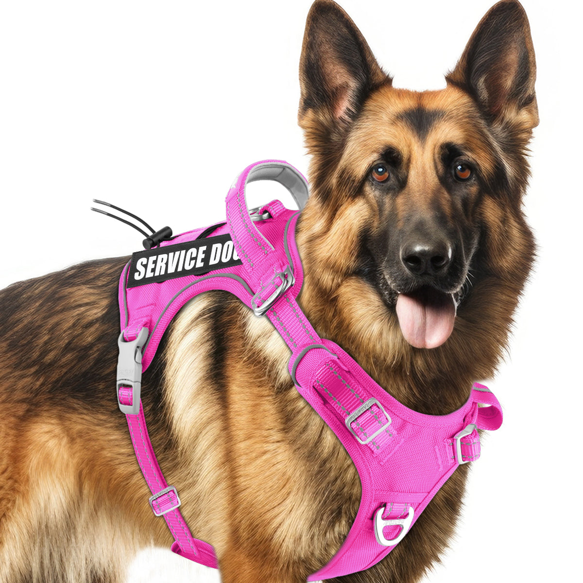 No Pull Tactical Dog Harness