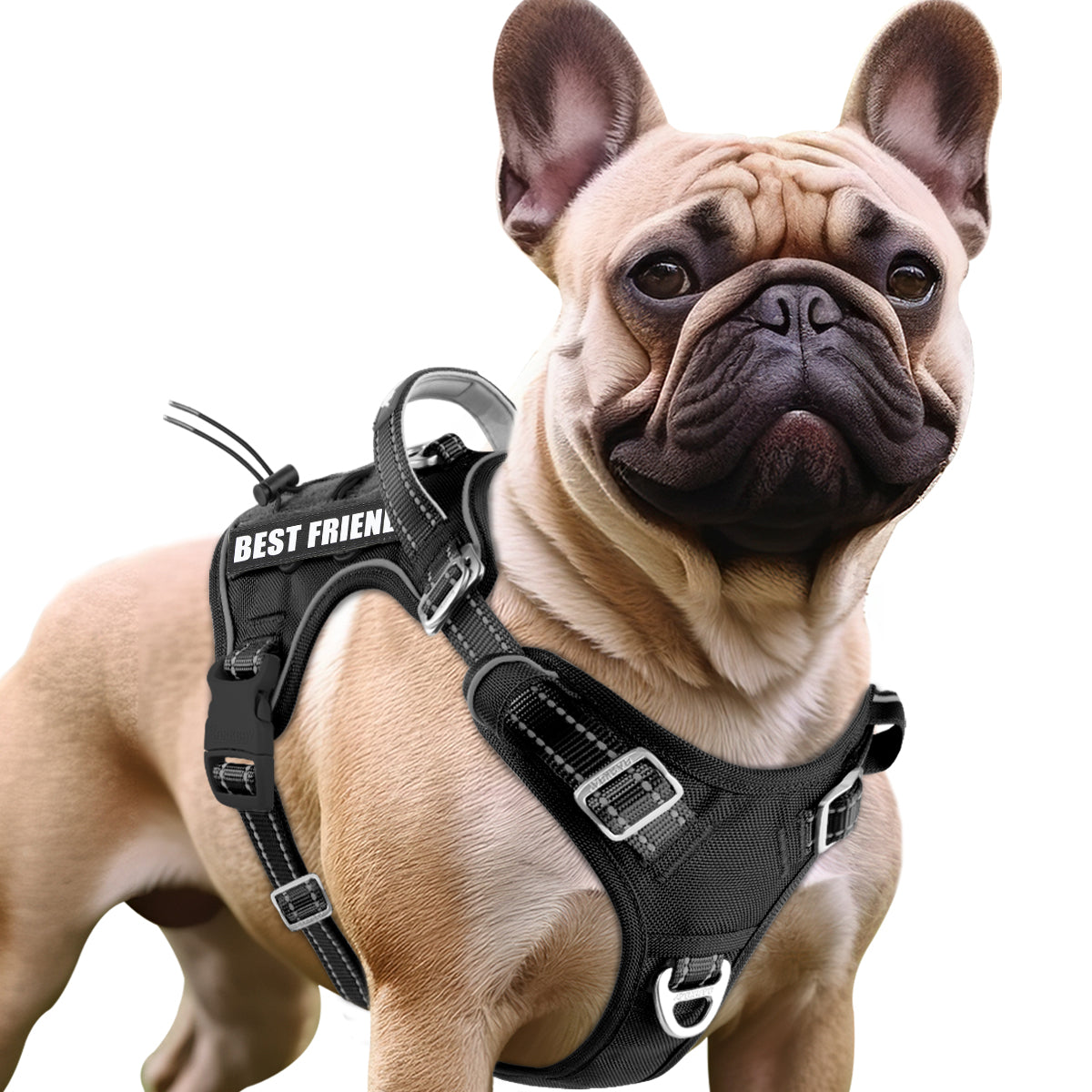 No Pull Tactical Dog Harness
