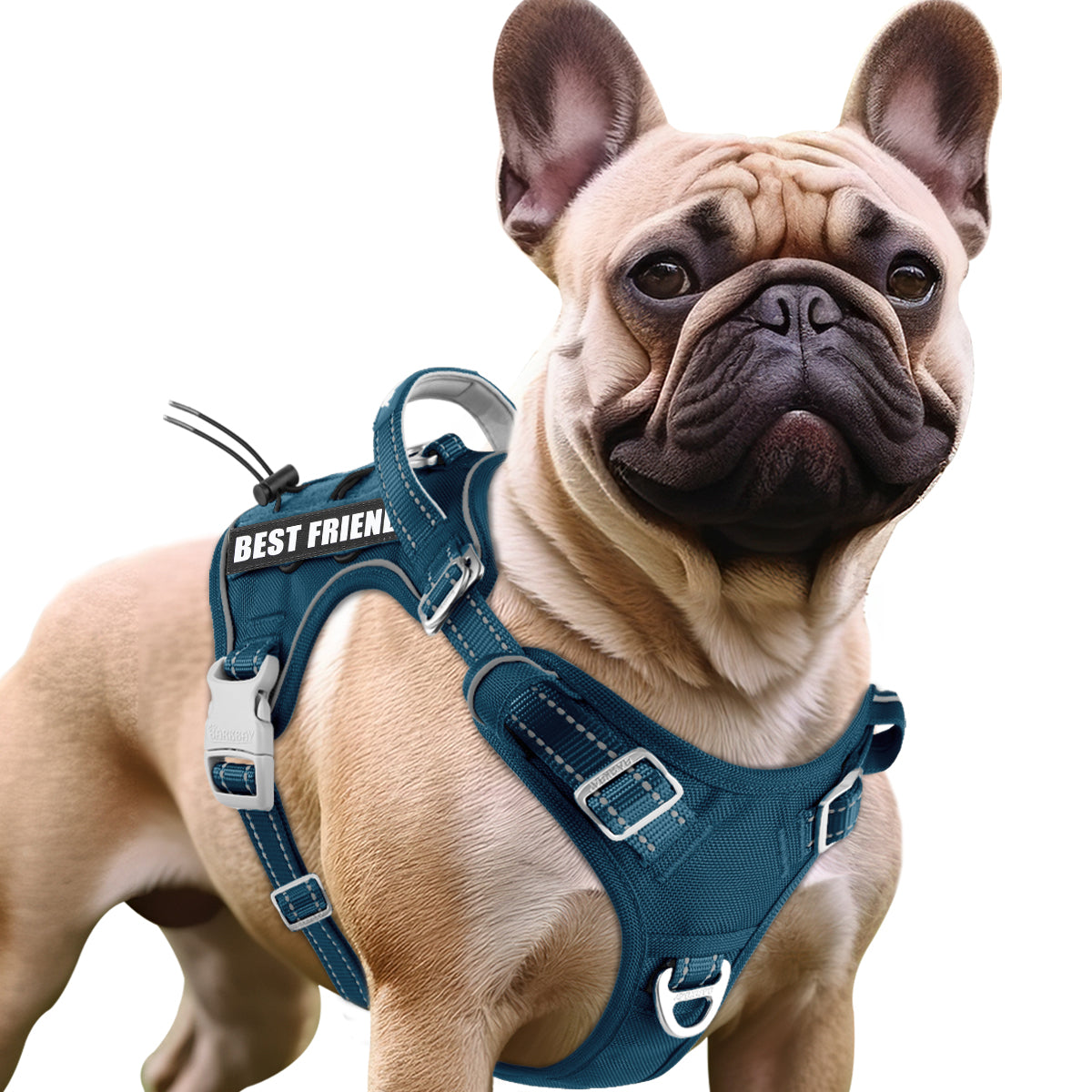 No Pull Tactical Dog Harness