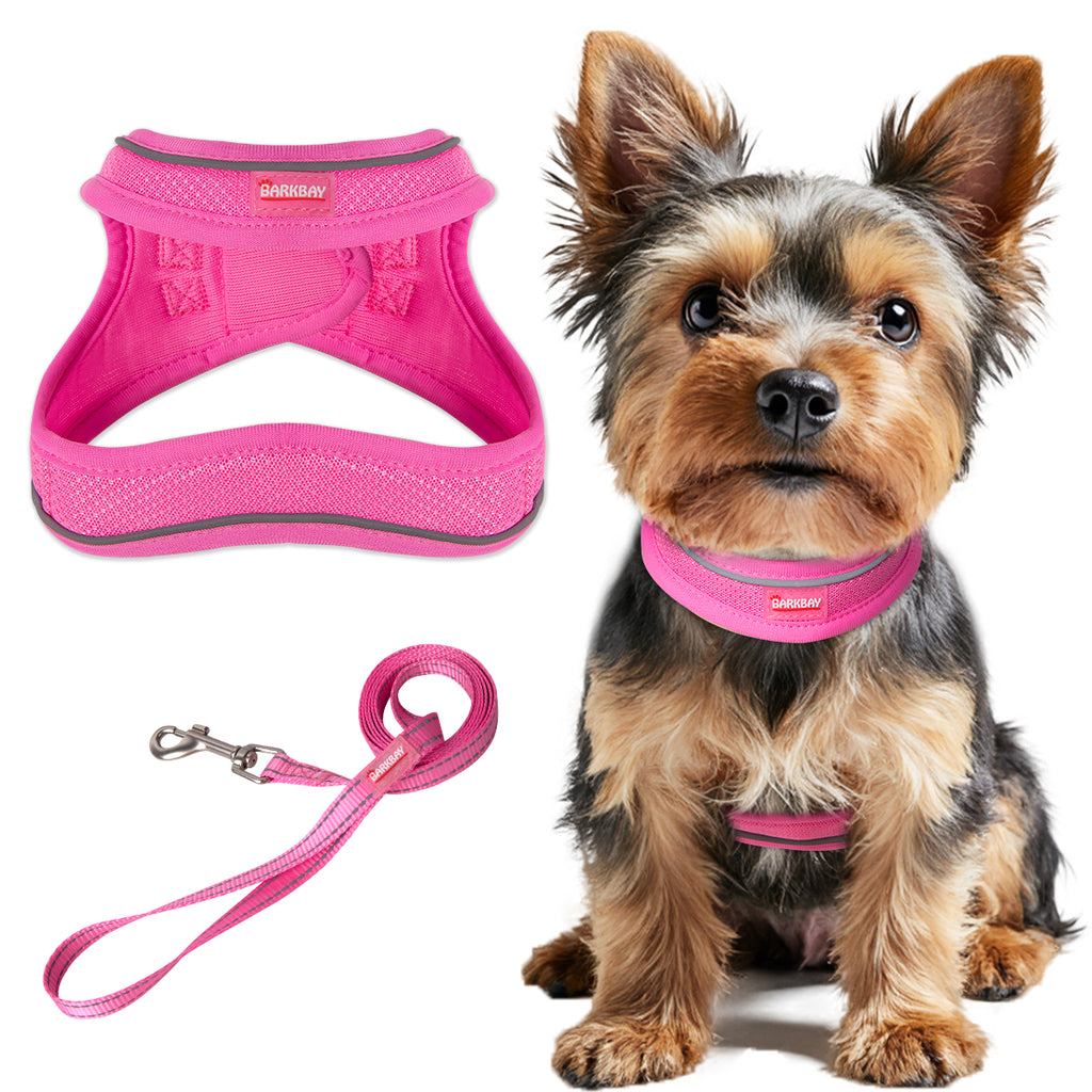 RunRing Step-in Dog Harness