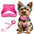 RunRing Step-in Dog Harness