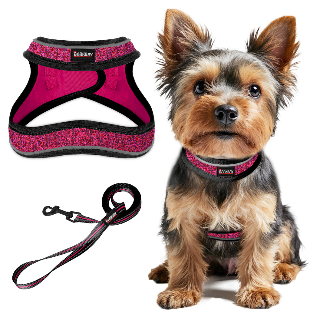 RunRing Step-in Dog Harness