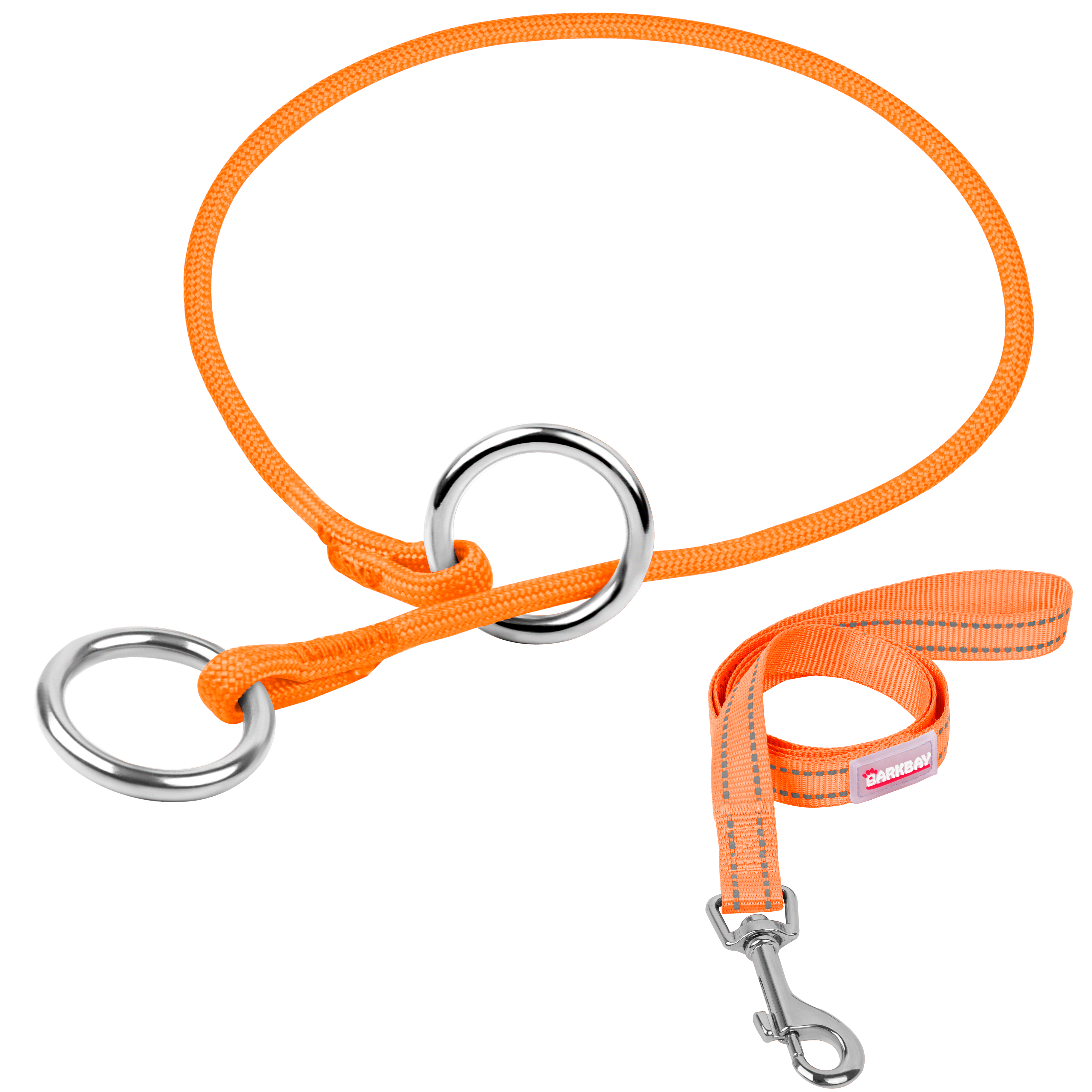 P-Control Training Collar &Leash Set