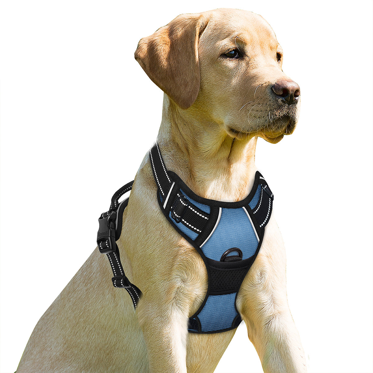 NoPullGuard Dog Harness