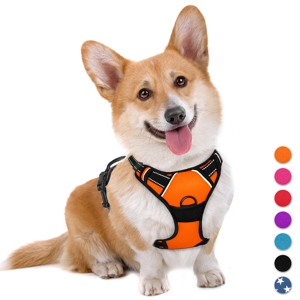 No-pull Dog Harness