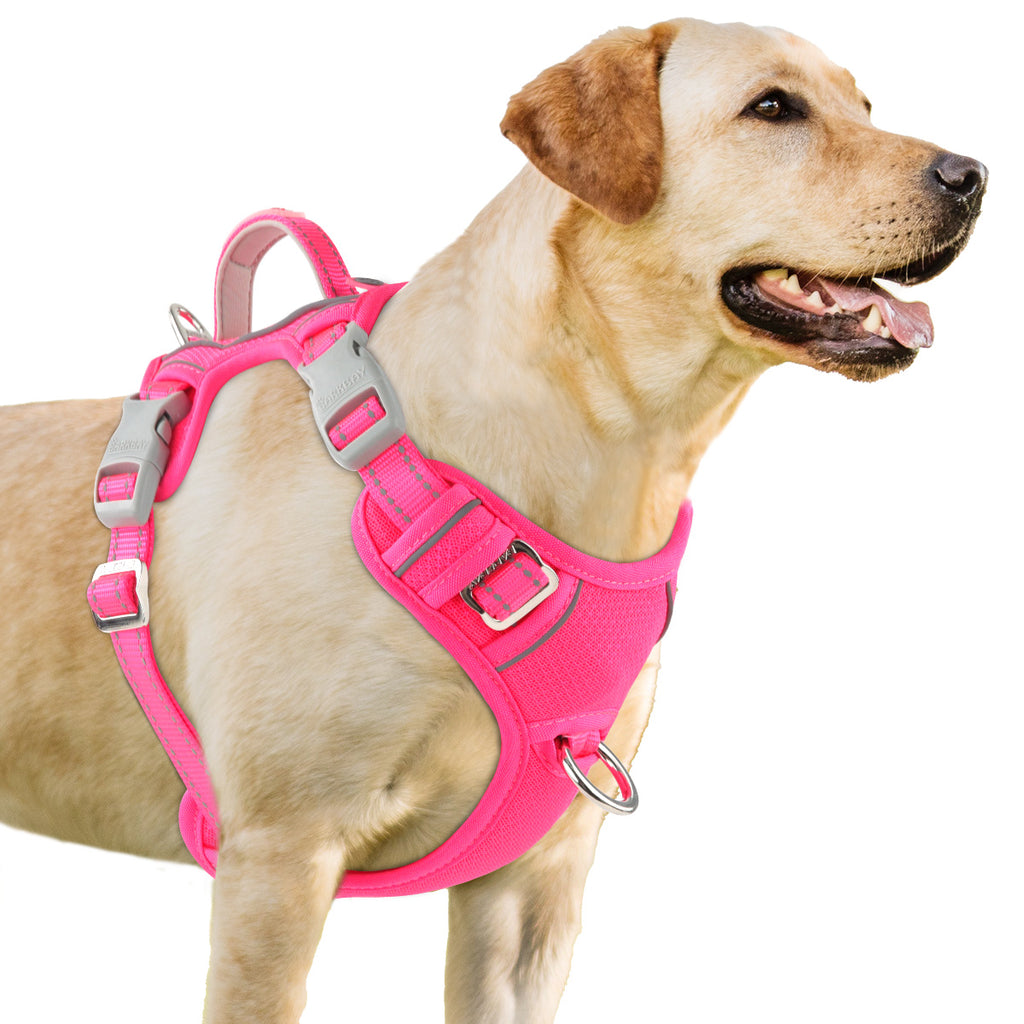 OpenFit Comfort Dog Harness