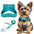 RunRing Step-in Dog Harness