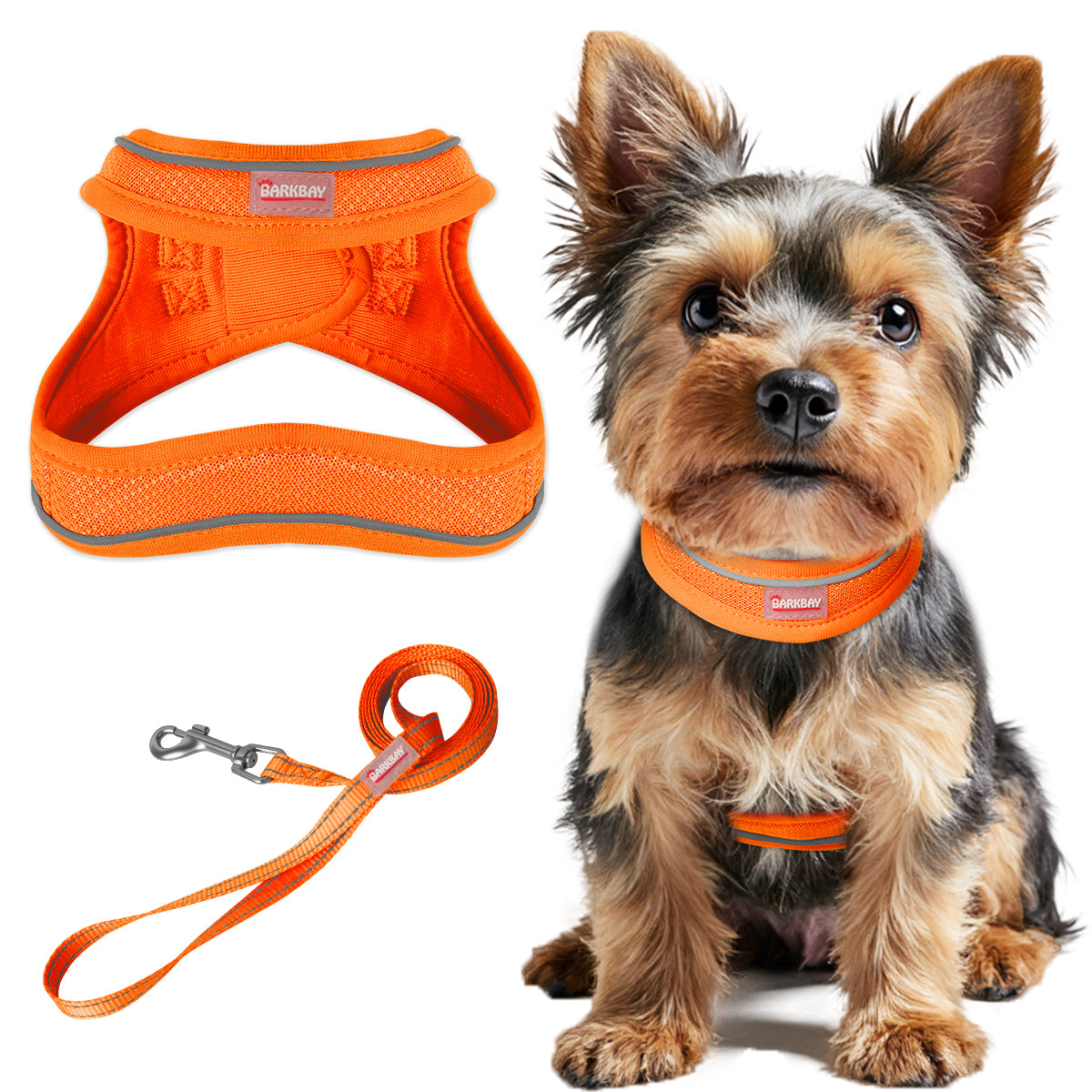 RunRing Step-in Dog Harness