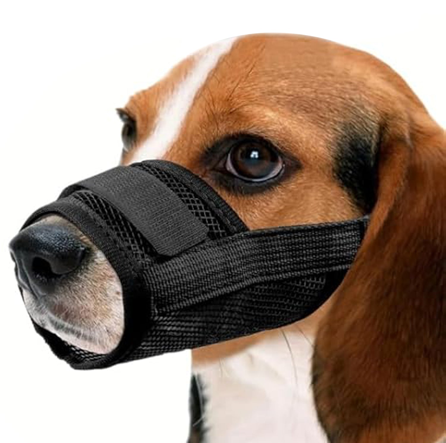 BARKBAY Dog Muzzle, Lightweight Air-Mesh Design for Small to Large Dogs