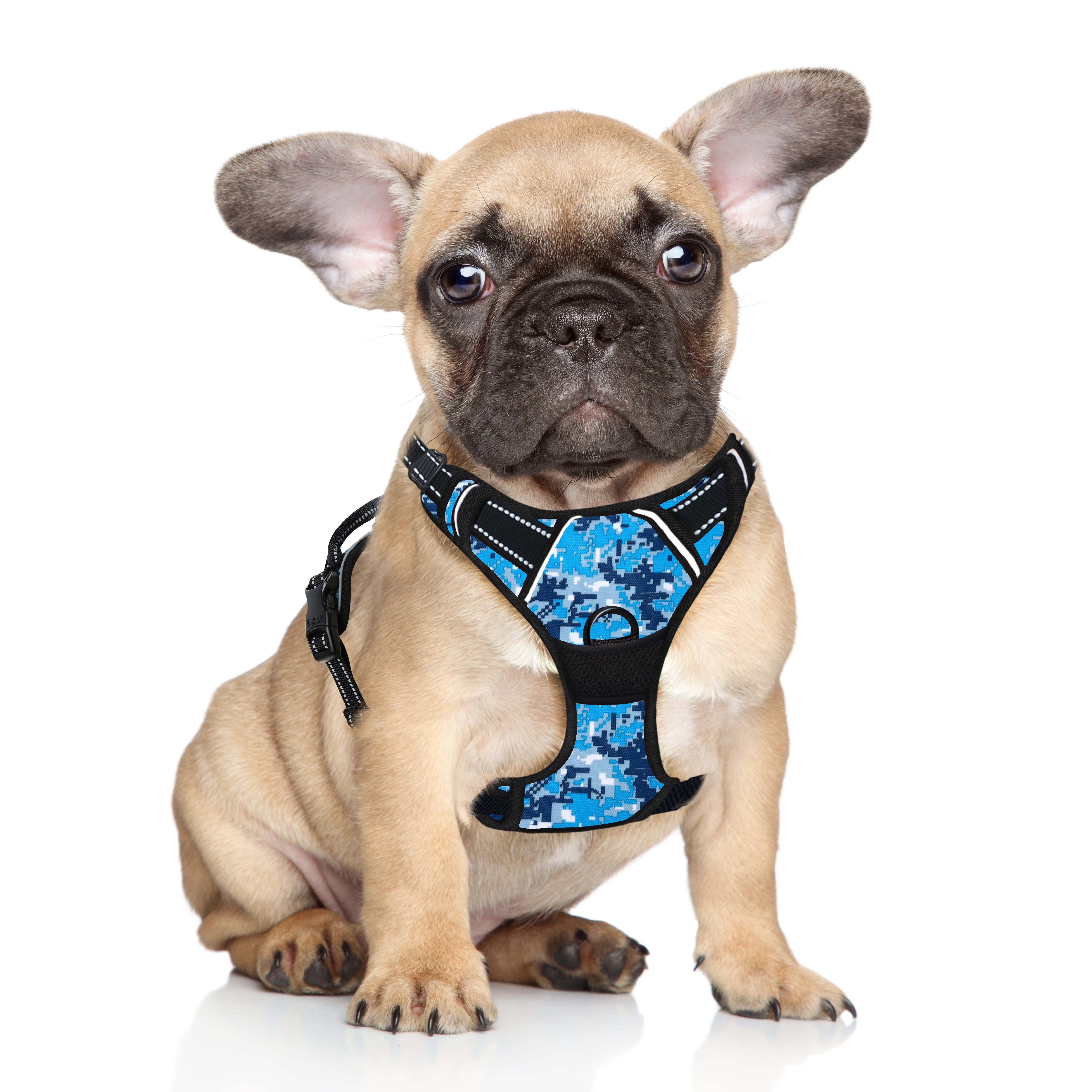 NoPull Adventure Dog Harness with Patterns