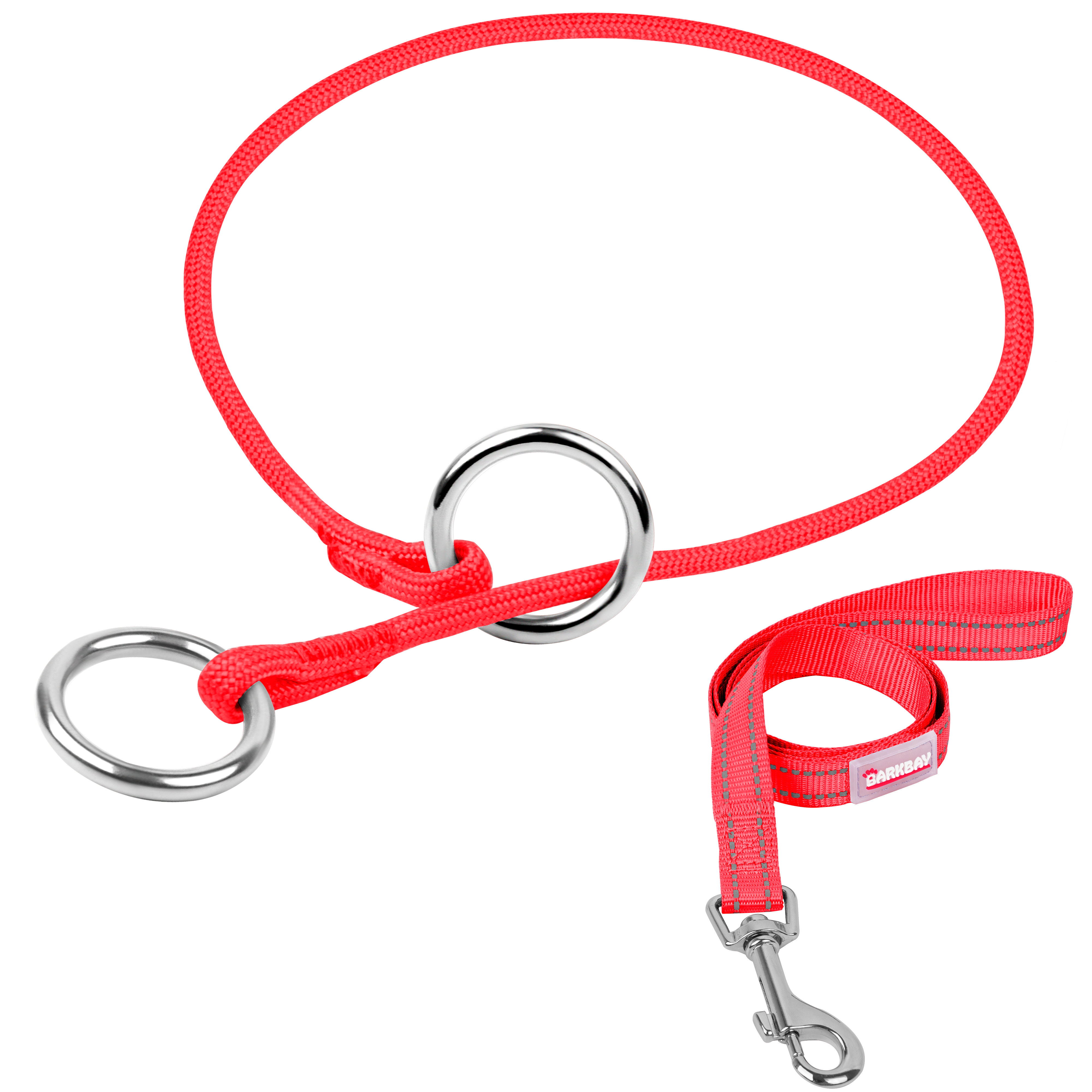 P-Control Training Collar &Leash Set