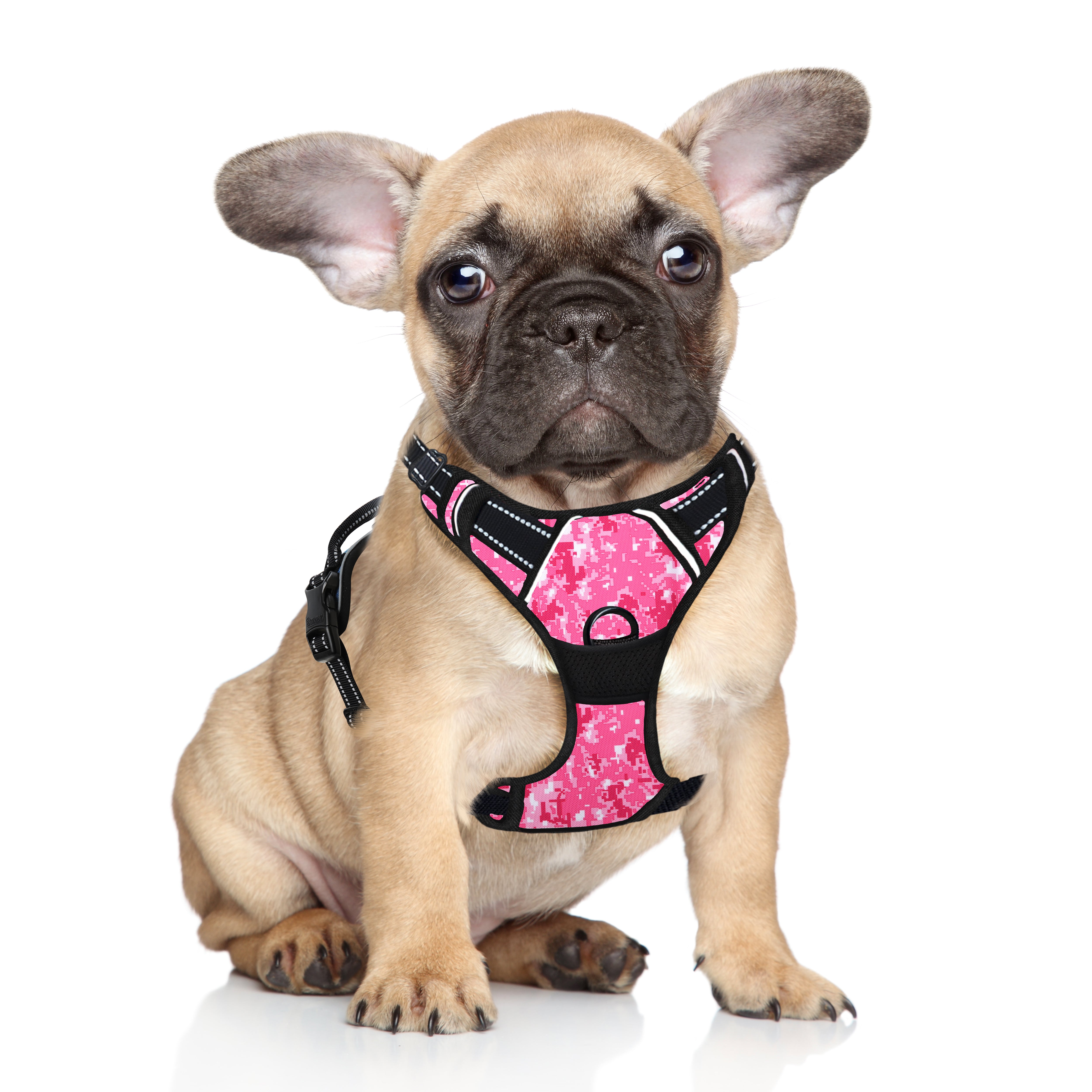 NoPull Adventure Dog Harness with Patterns