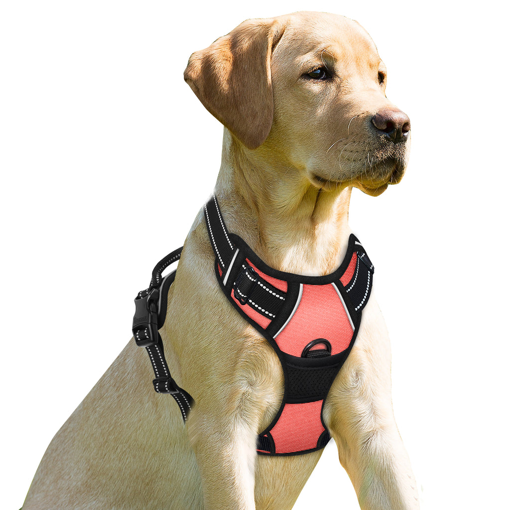 No-pull Dog Harness