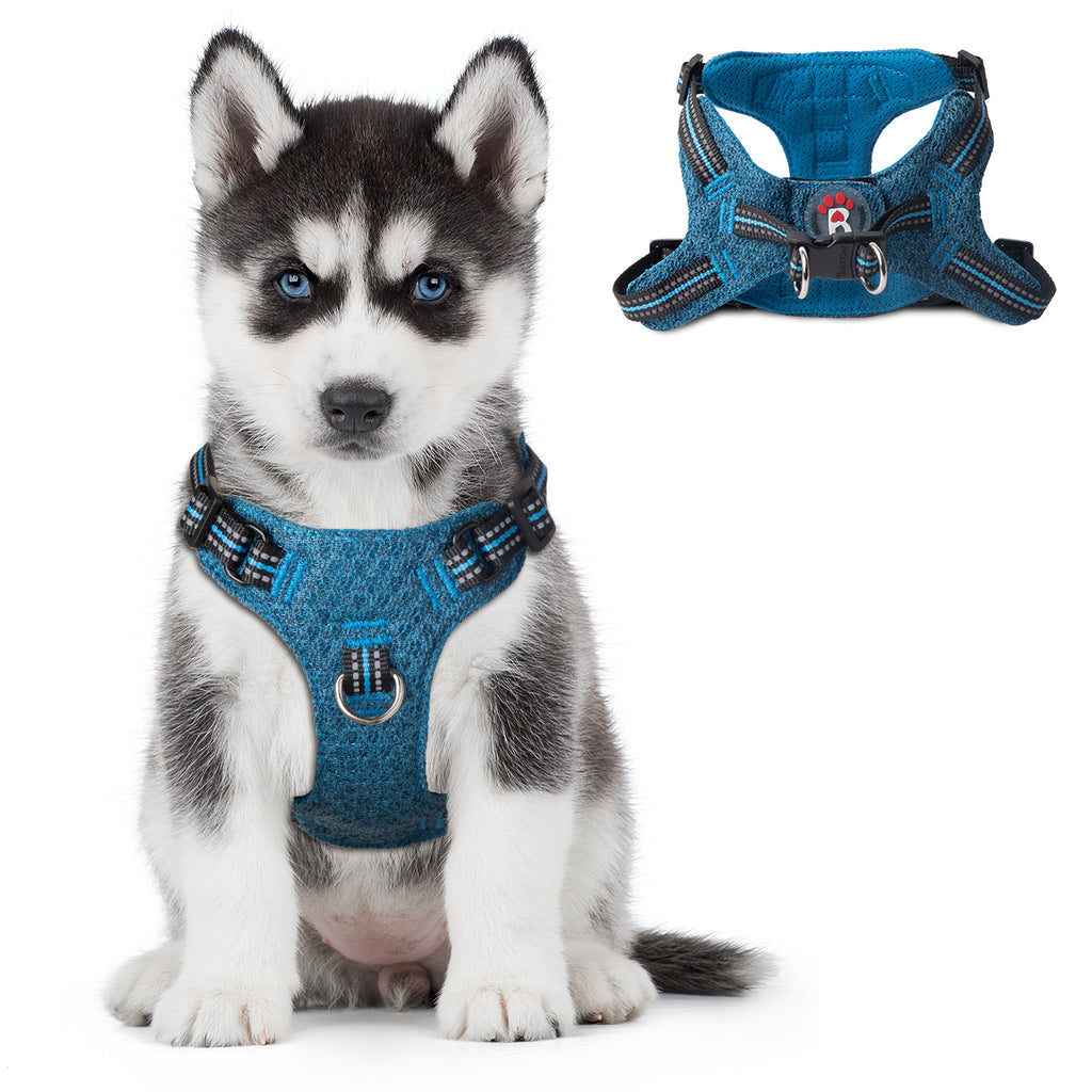 BARKBAY Vest Harness for Small and Medium Dogs,Cats