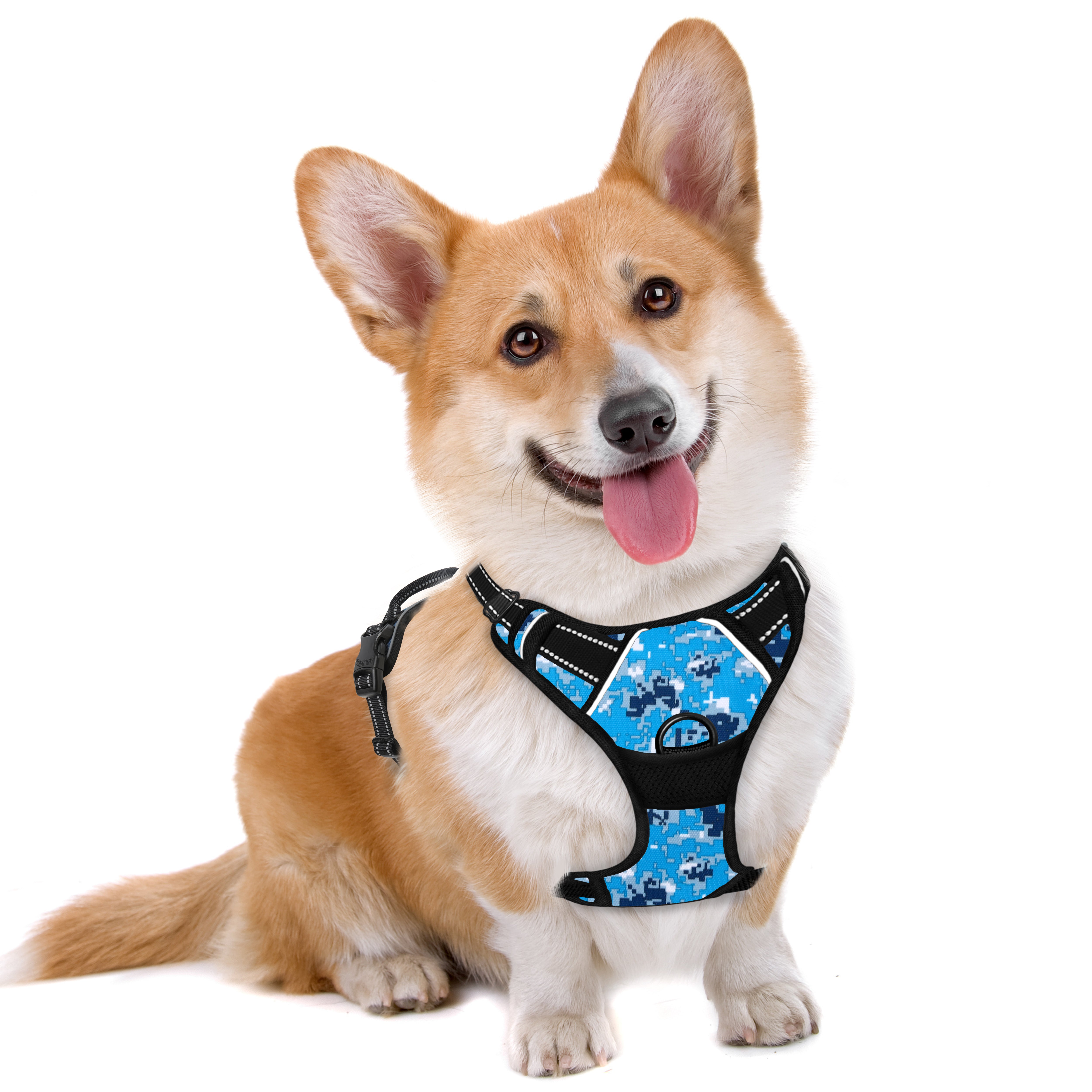 NoPull Adventure Dog Harness with Patterns