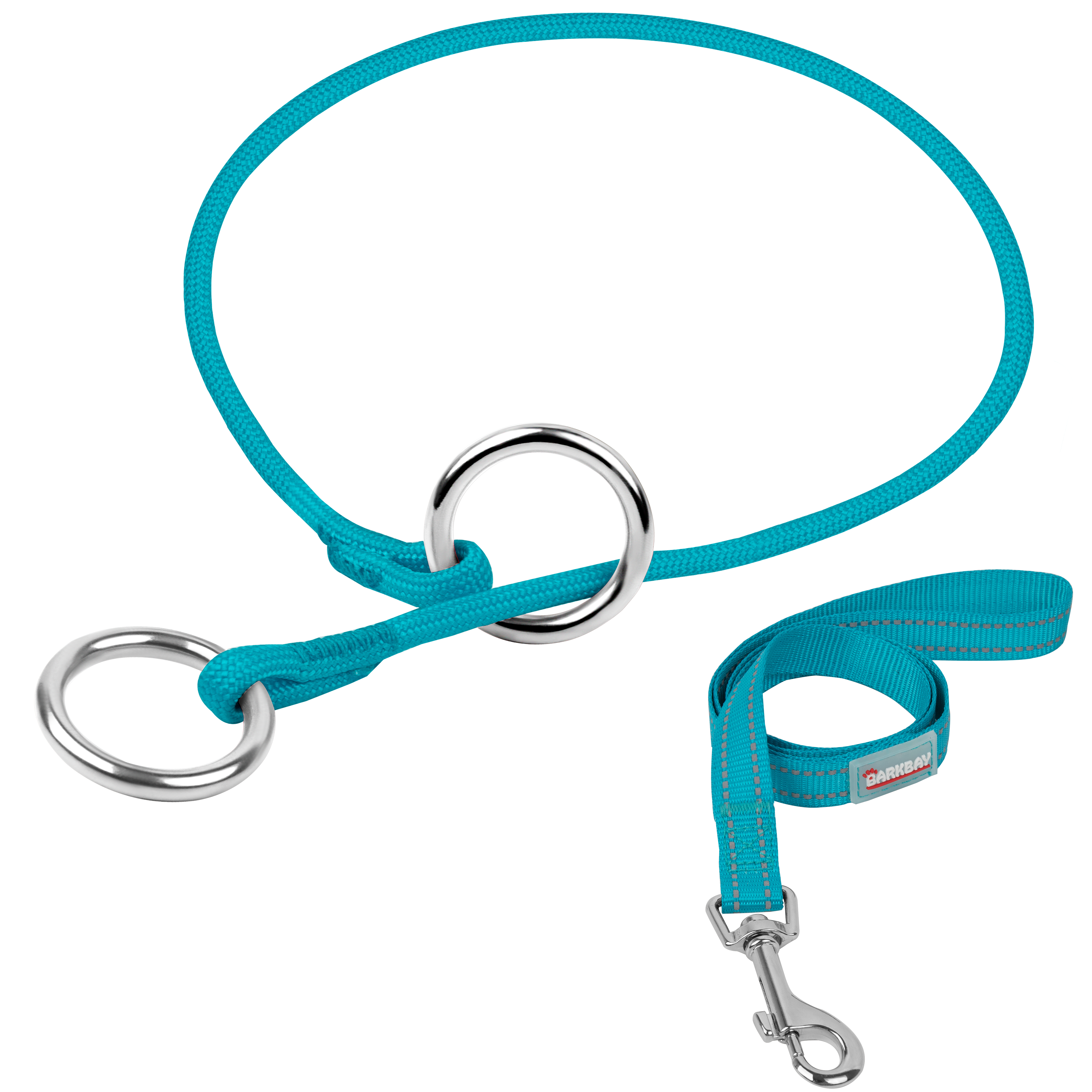 P-Control Training Collar &Leash Set