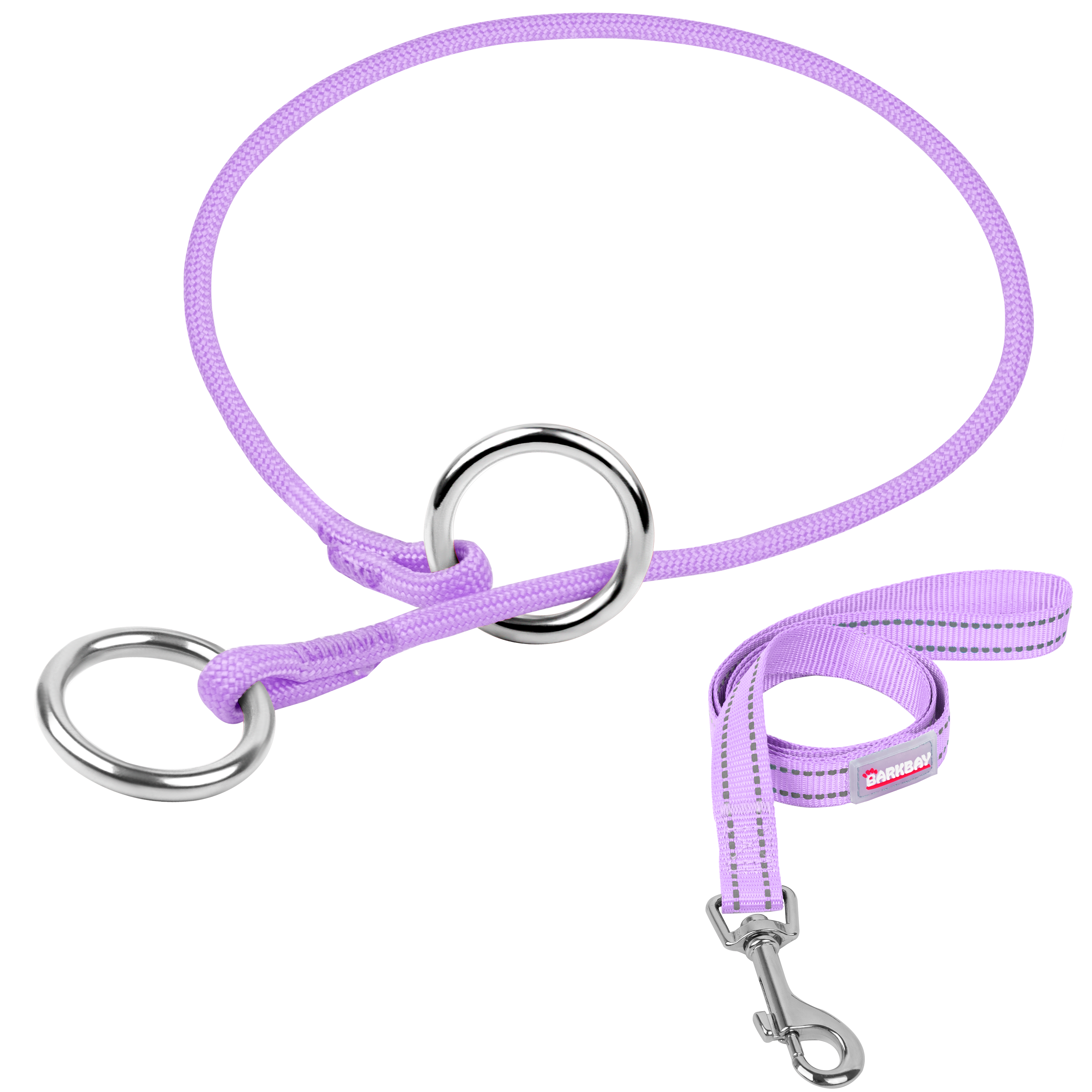 P-Control Training Collar &Leash Set