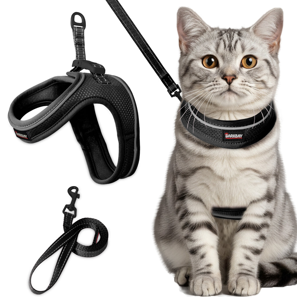 TwinLoop Step-in Cat Harness