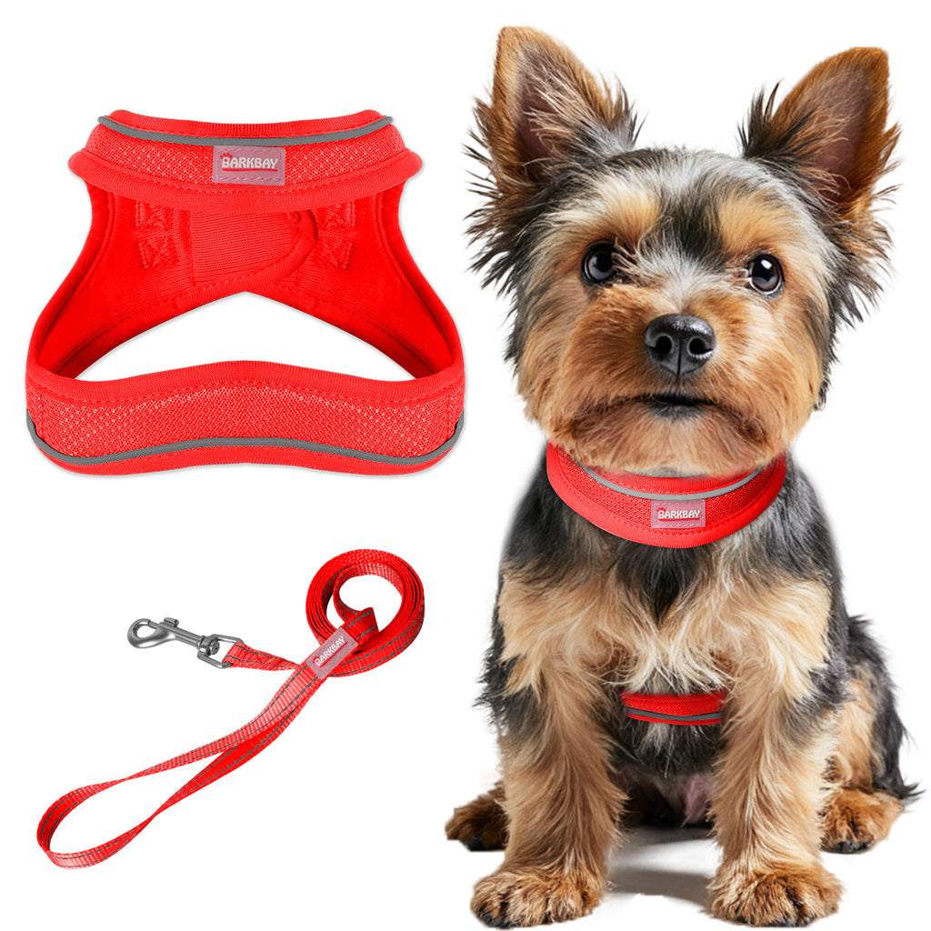 RunRing Step-in Dog Harness