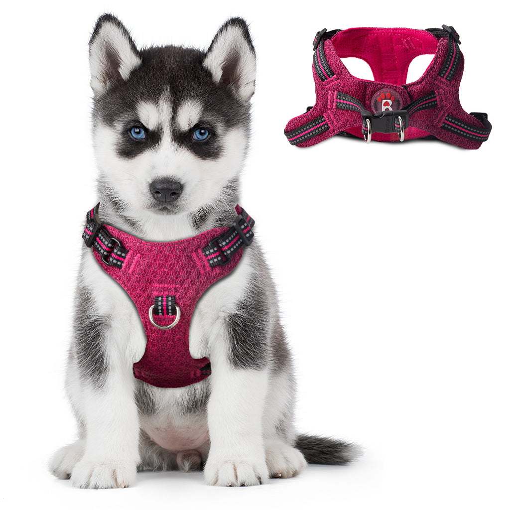 BARKBAY Vest Harness for Small and Medium Dogs,Cats