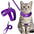TwinLoop Step-in Cat Harness