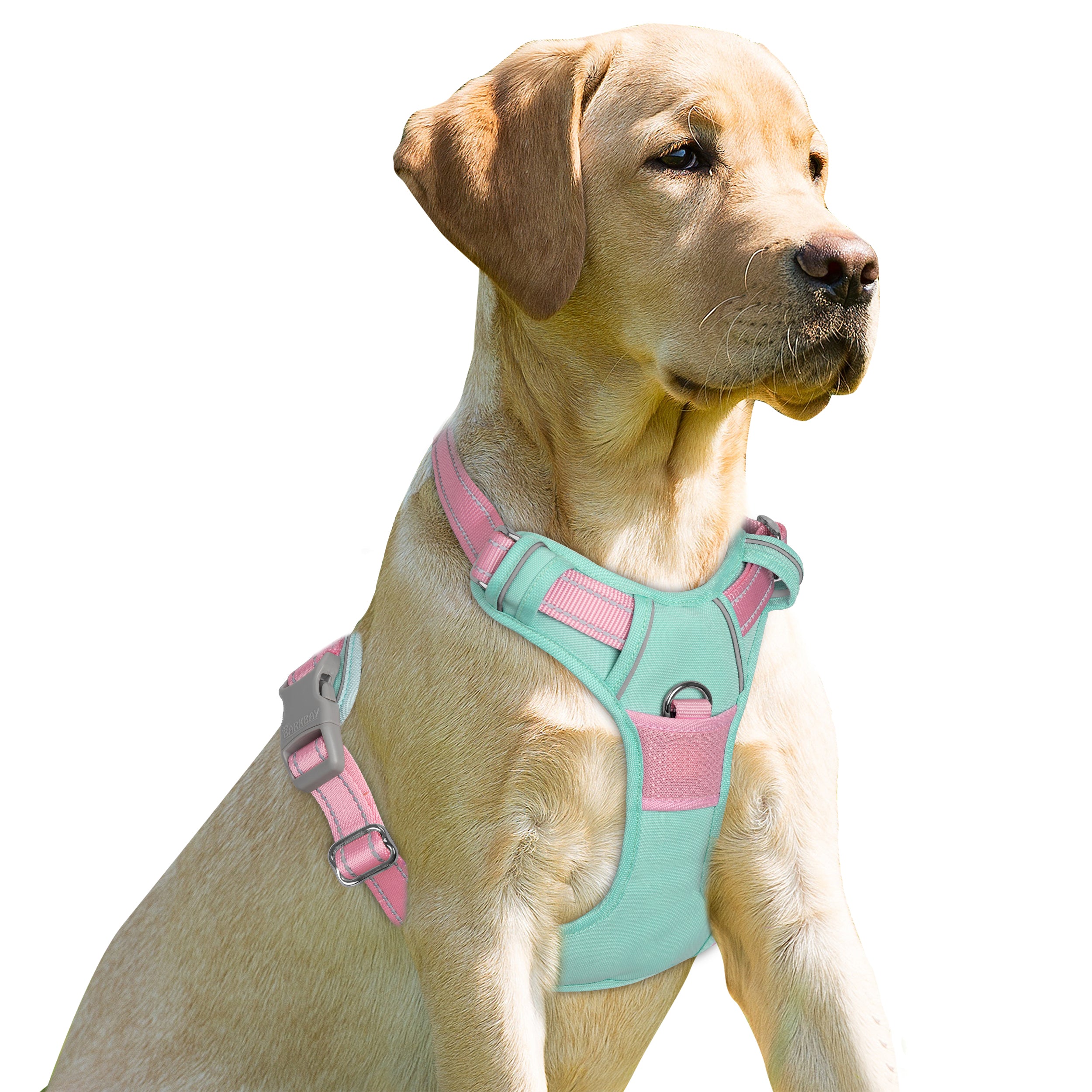 NoPullGuard Dog Harness