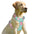 NoPullGuard Dog Harness