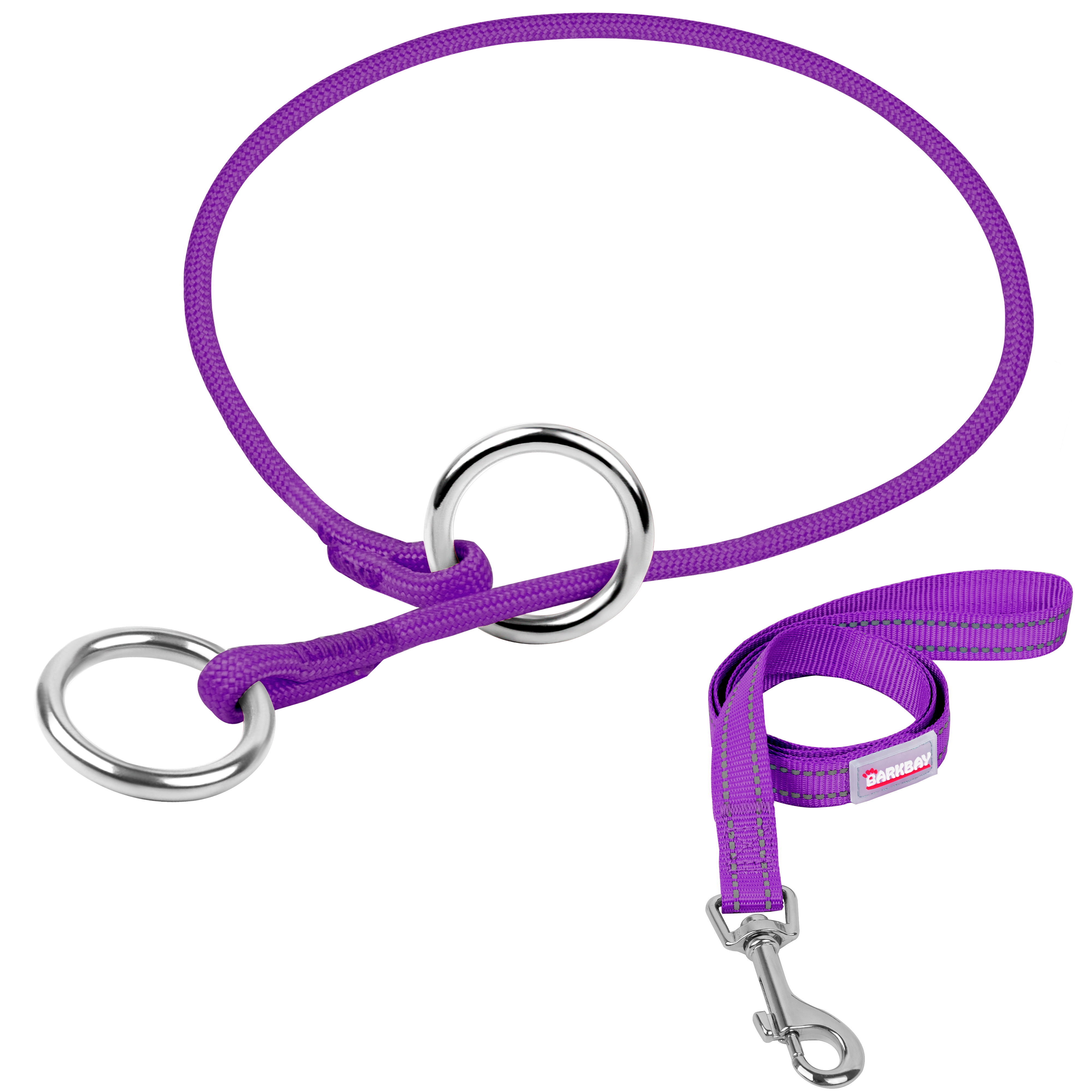 P-Control Training Collar &Leash Set