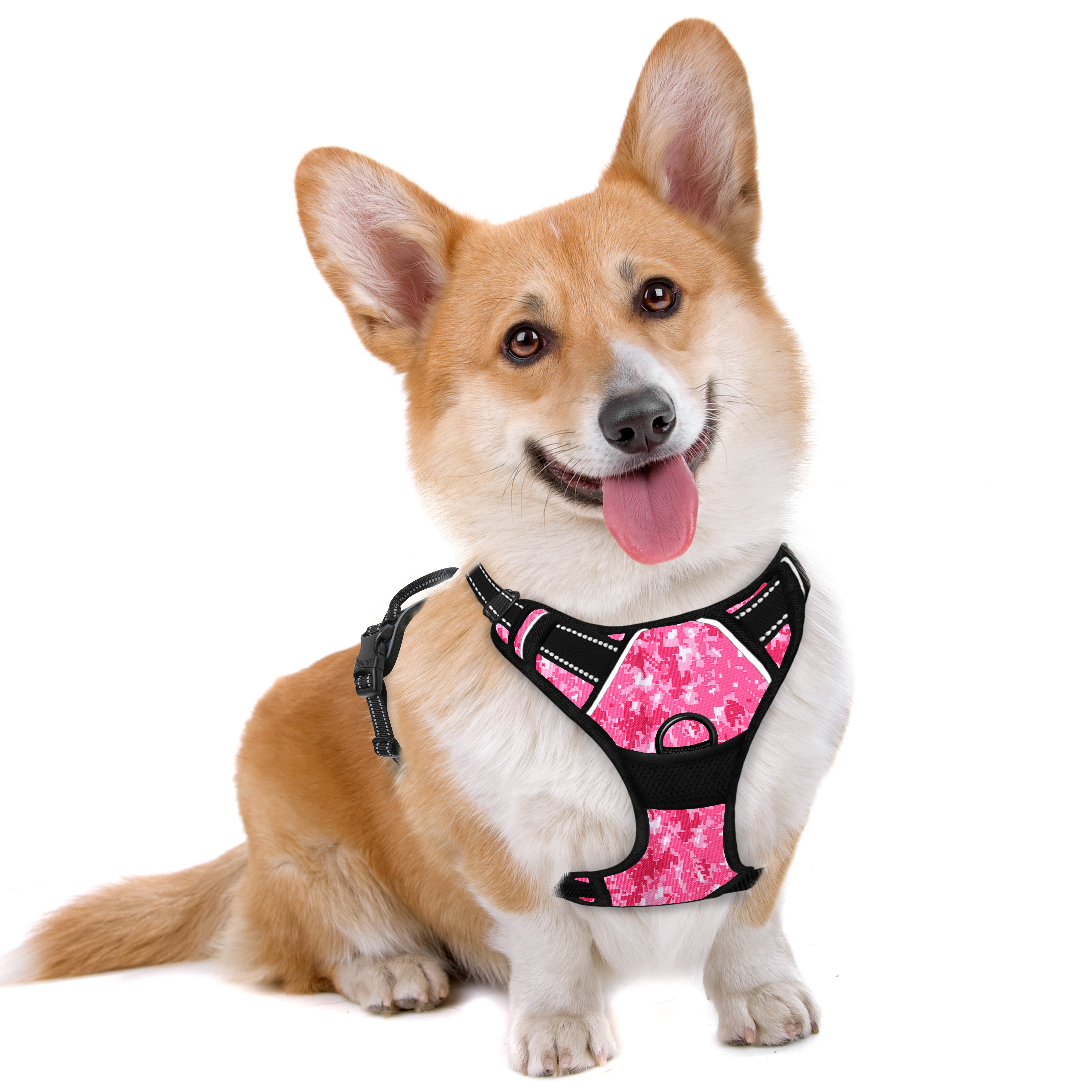 NoPull Adventure Dog Harness with Patterns