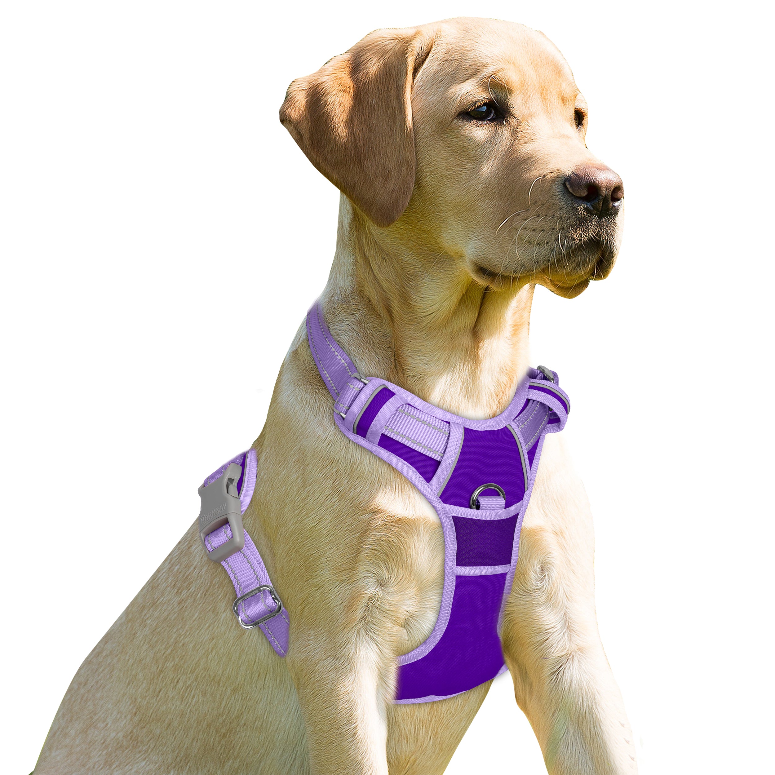 NoPullGuard Dog Harness
