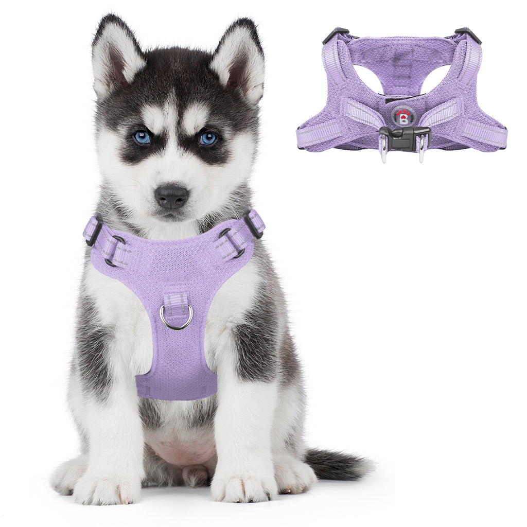 BARKBAY Vest Harness for Small and Medium Dogs,Cats