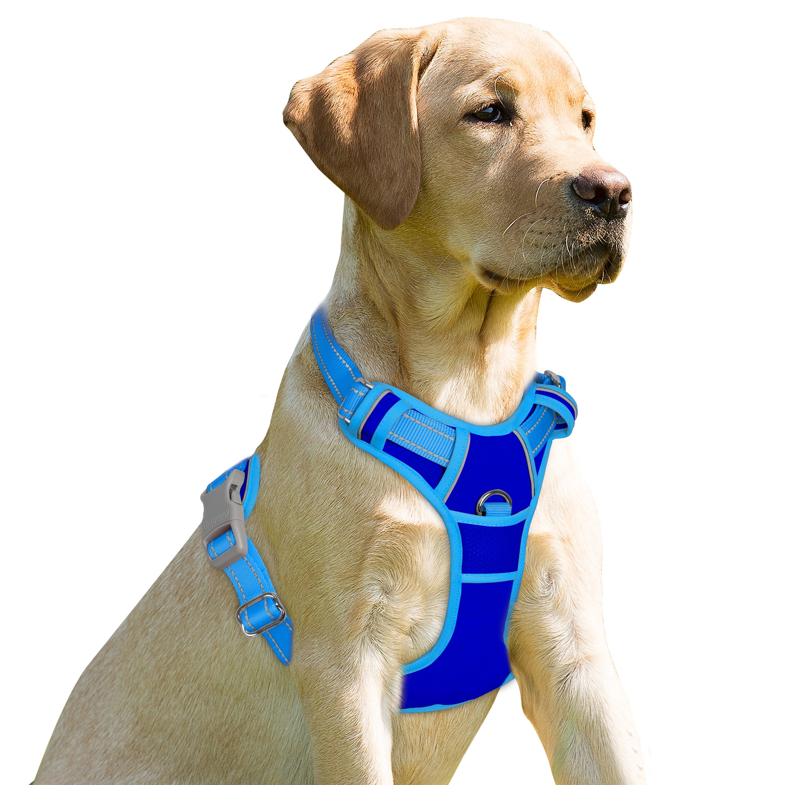 NoPullGuard Dog Harness