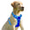 NoPullGuard Dog Harness