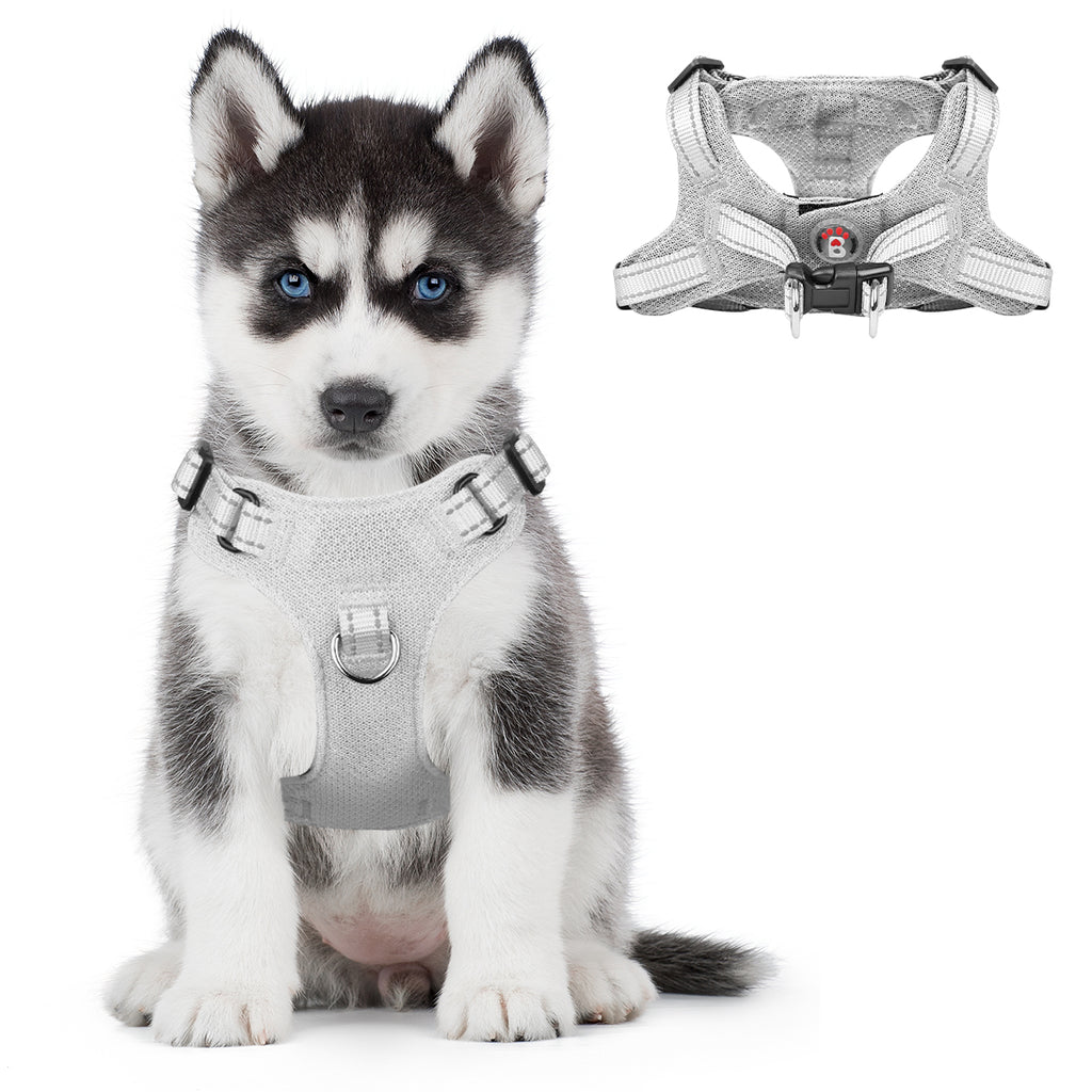 BARKBAY Vest Harness for Small and Medium Dogs,Cats